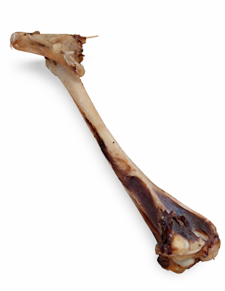 Ziegen Knochen groß