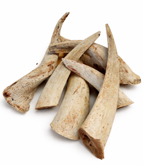 Kau-Hörner von der Ziege getrocknet 500g