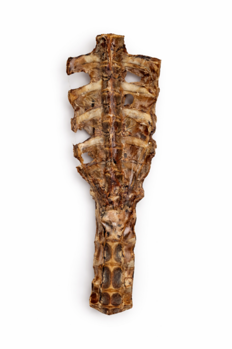 Ziegen Rücken getrocknet ca. 45 cm lang 1 Stk.